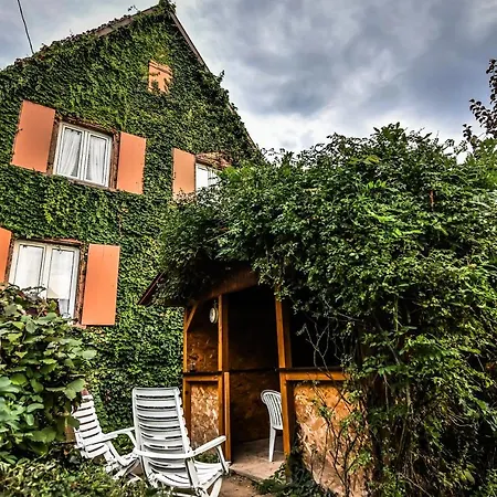 Prázdninový dům ❊ Au Murmure De L'eau Au Coeur De L'alsace ❊ Ebersheim