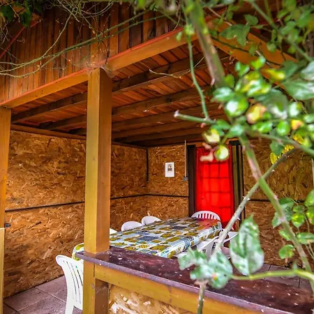 ❊ Au Murmure De L'eau Au Coeur De L'alsace ❊ Prázdninový dům