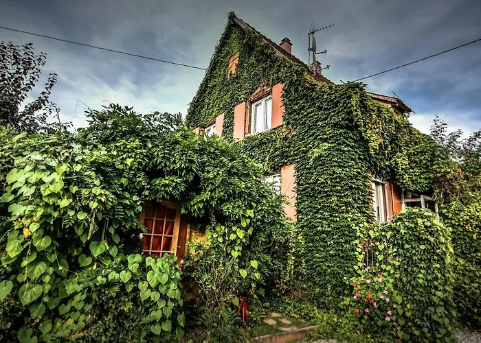 ❊ Au Murmure De L'eau Au Coeur De L'alsace ❊ * Ebersheim