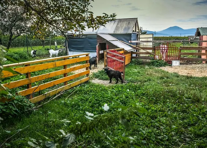 Semesterbostad ❊ Au Murmure De L'eau Au Coeur De L'alsace ❊