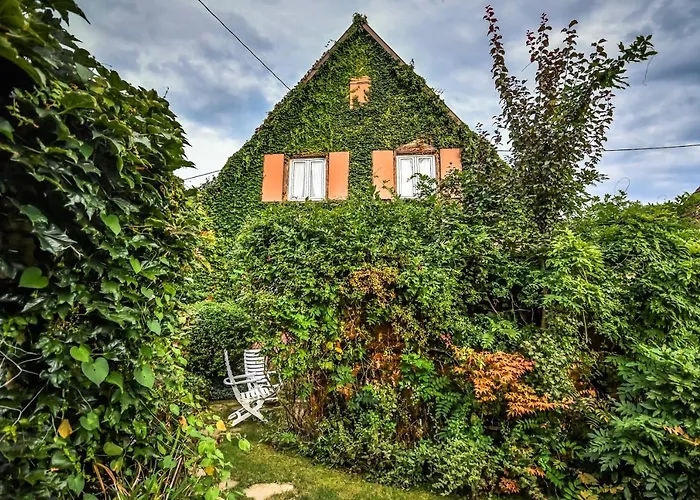 Semesterbostad ❊ Au Murmure De L'eau Au Coeur De L'alsace ❊