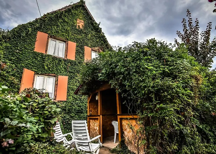 Dom wakacyjny ❊ Au Murmure De L'eau Au Coeur De L'alsace ❊ Ebersheim